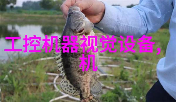 DD0203德IFM易福门速度操作规格书
